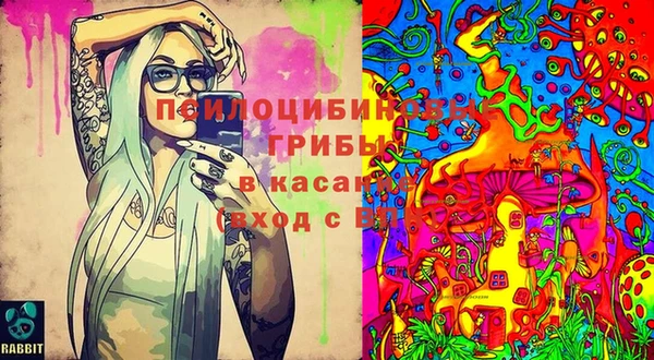 твердый Алзамай