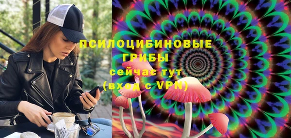 тгк Алексин