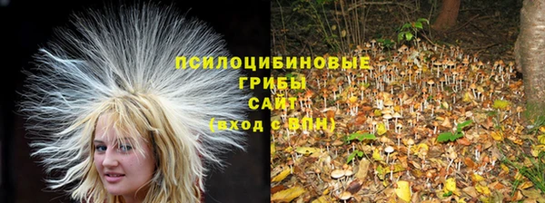 соль ск Абаза