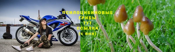 твердый Алзамай